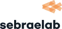 Sebrae Lab